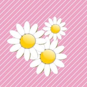 Meet your Posher, Gail